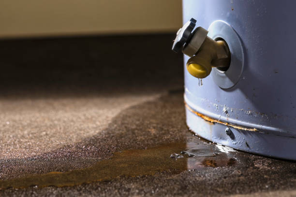 Best Water damage restoration specialists  in Grant, AL