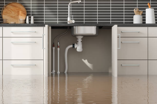 Best 24/7 water damage repair  in Grant, AL